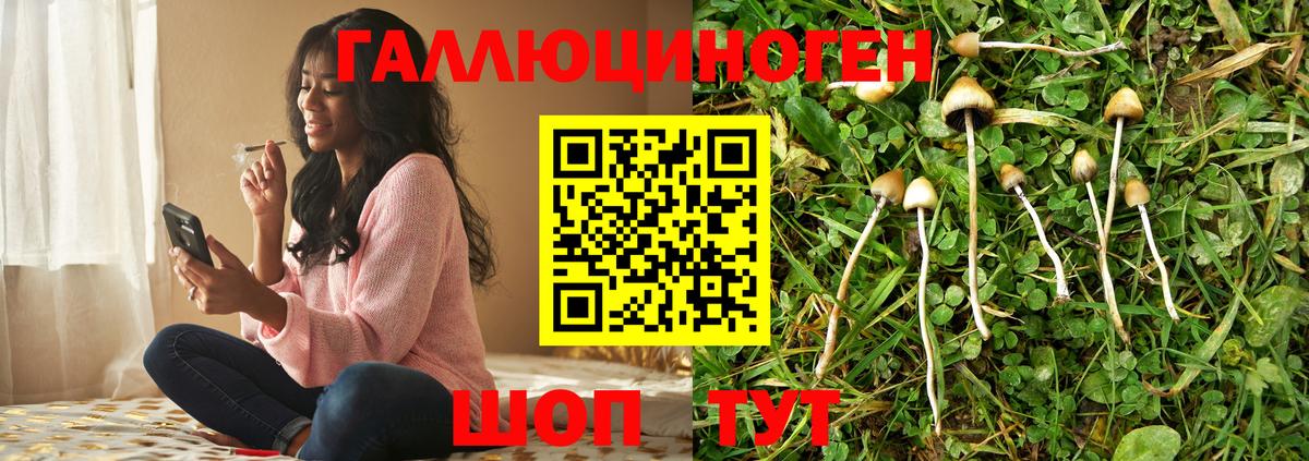 Галлюциногенные грибы Cubensis Красноярск